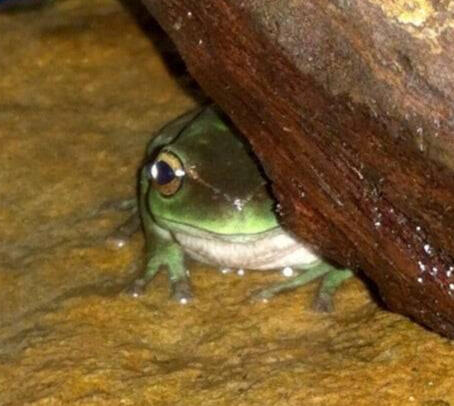 💜💕💜💕💜 my datemate Elias 💜💕💜💕💜